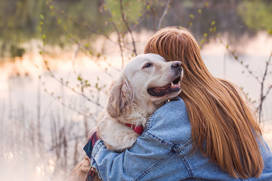 Os Benefícios de Animais de Estimação para a Saúde Humana