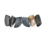 Casco Bovino G 1 un - CALMING CHEWS - Imagem 8