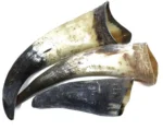 Chifre Bovino G - 16-24cm - CALMING CHEWS - Imagem 7