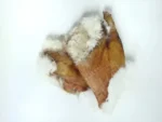 Pele de Coelho 1 un - COELHO - Imagem 4