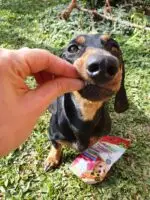 Snack de Fígado 200g - Chocolate Pet - CREC COOKIES - Imagem 5