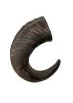 Chifre Bufalo Extra M +40cm - CALMING CHEWS