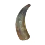 Chifre Bovino G - 16-24cm - CALMING CHEWS