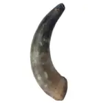 Chifre Bovino GG 24cm - CALMING CHEWS