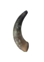 Chifre Bovino GG 24cm - CALMING CHEWS