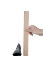 Chifre Bovino Mini -Até 8cm -CALMING CHEWS - Imagem 2
