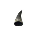 Chifre Bovino PP - 10-12cm - CALMING CHEWS