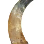 Chifre Bovino XGG+38cm - CALMING CHEWS