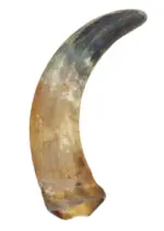 Chifre Bovino XGG+38cm - CALMING CHEWS