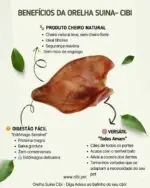 Orelha Suína 3 un - PERFECT PORK - Imagem 5