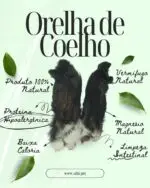 Orelhas de Coelho 5 un - COELHO - Imagem 4