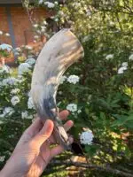 Chifre Bovino G - 16-24cm - CALMING CHEWS - Imagem 5