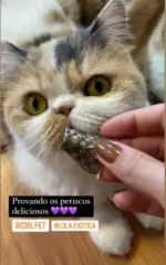 Couro de Peixe 10 un - FANTASTIC FISH - Imagem 7