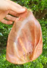 Orelha Suína 1 un - PERFECT PORK - Imagem 2