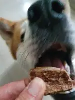 Pulmão Suíno 50g - Biscoito CREC COOKIES - Imagem 6