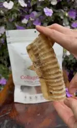 Traqueia Bovina 3 un - COLLAGEN STRIPS - Imagem 2