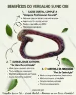 Vergalho Suíno 100g - COLLAGEN STRIPS - Imagem 4