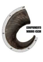 Chifre Bufalo G +45cm -CALMING CHEWS - Imagem 2
