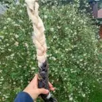 Trança de Couro Bovino 100% Natural para Cachorro Médio e Grande Porte 1un